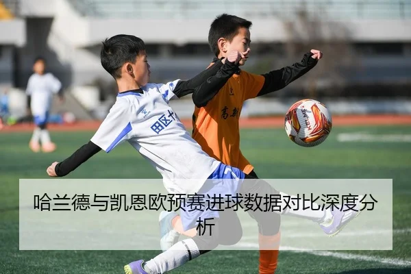 哈兰德与凯恩欧预赛进球数据对比深度分析 | leyusports